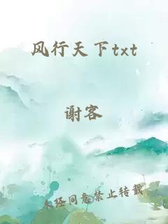 風行天下txt